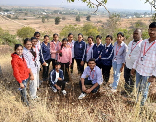tree plantation
