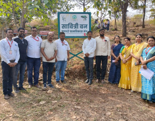 tree plantation