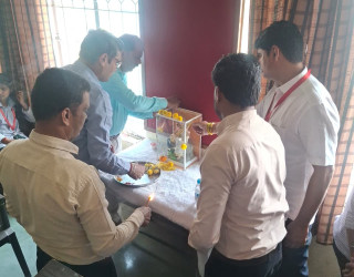 Smart investing for young professional